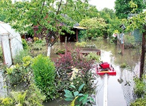 Ogródki działkowe w Rawce pod wodą znalazły się dwa razy