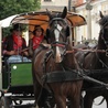 Do Matki Bożej na kopytach, w siodle i bryczką