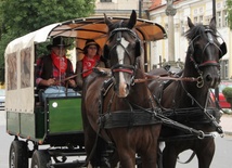 Do Matki Bożej na kopytach, w siodle i bryczką