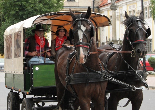 Do Matki Bożej na kopytach, w siodle i bryczką