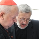Polska premiera "Cierpienia Niewinnych"