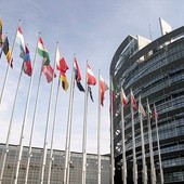 Groźny raport Estreli odrzucony w PE!