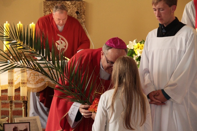 Brat Bernhard Lisson SJ, męczennik z Rodezji