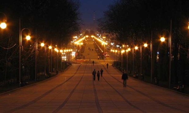 Piesi pełni blasku