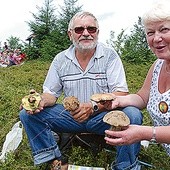  Wędrowanie to nie tylko wspaniały relaks i podziwianie przyrody. To także szansa na przywiezienie do domu kosza pełnego grzybów