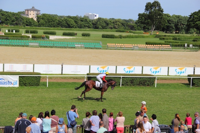 Wyścigi konne 2013 