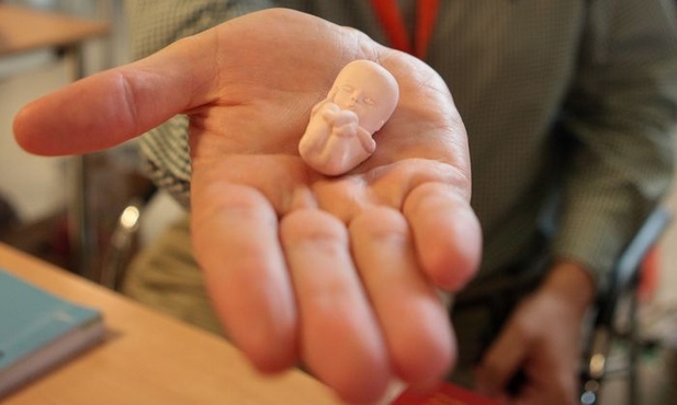 Francja: biskupi o legalizacji badań na embrionach