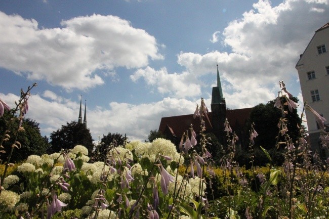 Ogród u Sióstr de Notre Dame zaprasza