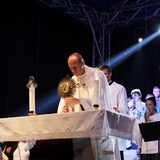 Koncert New Life'm i czuwanie z papieżem