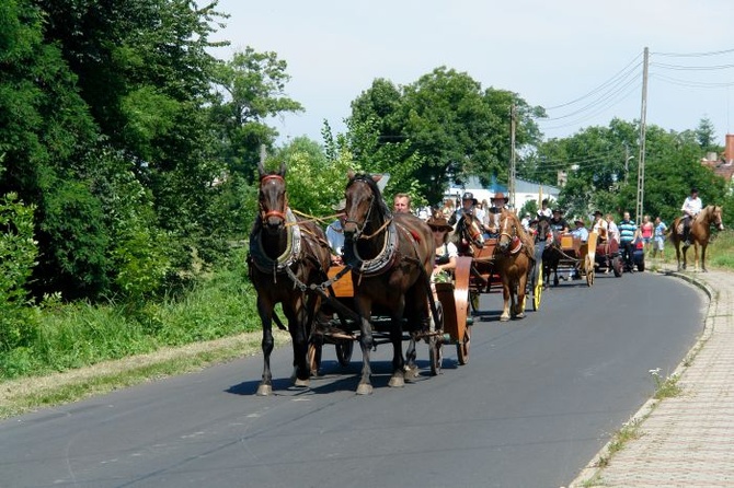 Konna pielgrzymka do Goja