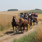 Konna pielgrzymka do Goja