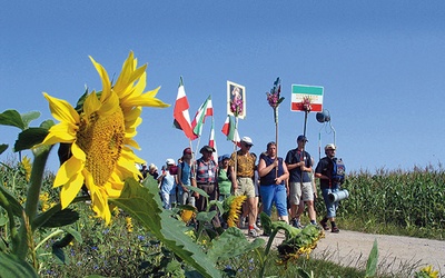 W Polsce tylko w sierpniu na Jasną Górę rusza ok. 60 pielgrzymek pieszych. Łącznie idzie w nich co roku blisko 100 tys. pątników