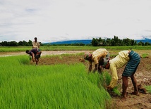 Bangladesz to bomba zegarowa