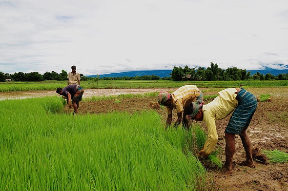 Bangladesz to bomba zegarowa