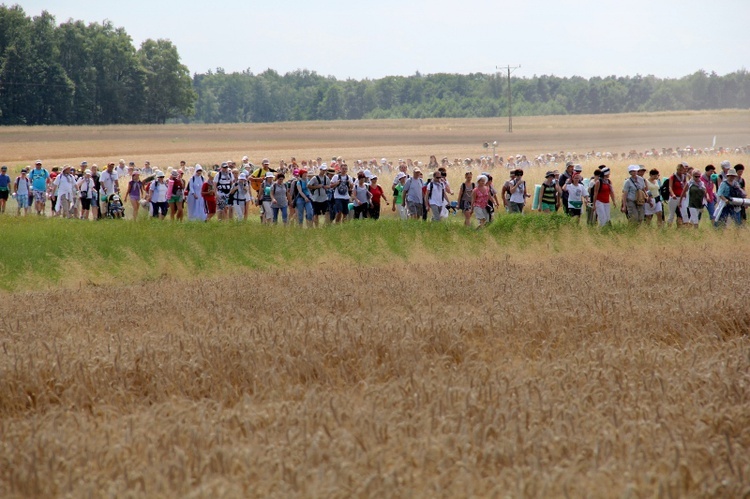 68. Pielgrzymka Rybnicka - dzień 1. - Wilcza