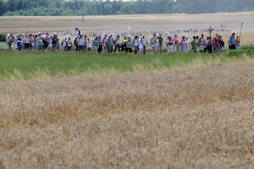 68. Pielgrzymka Rybnicka - dzień 1. - Wilcza