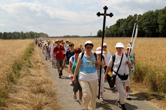 68. Pielgrzymka Rybnicka - dzień 1. - Wilcza