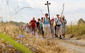 68. Pielgrzymka Rybnicka - dzień 1. - Wilcza