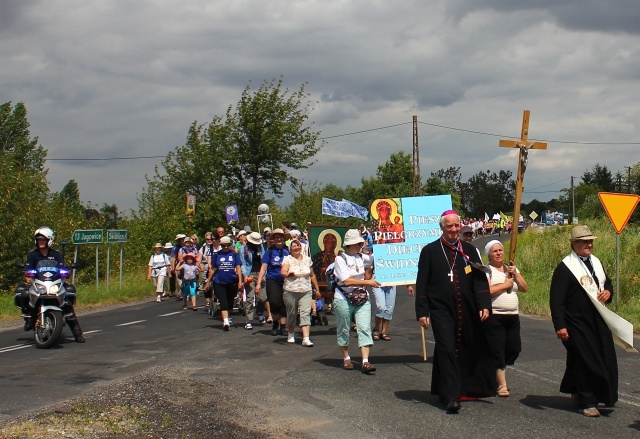 Pielgrzymka Świdnicka w drodze