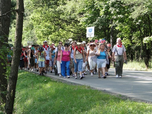 68. Pielgrzymka Rybnicka -dzień 3. - droga z Miasteczka Śl. do Miotka