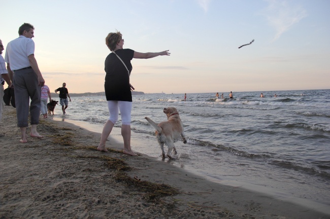 Psia plaża w Sopocie 