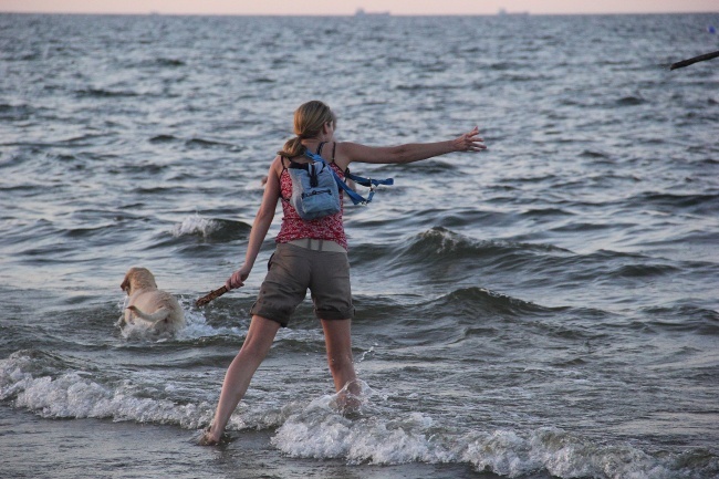 Psia plaża w Sopocie 