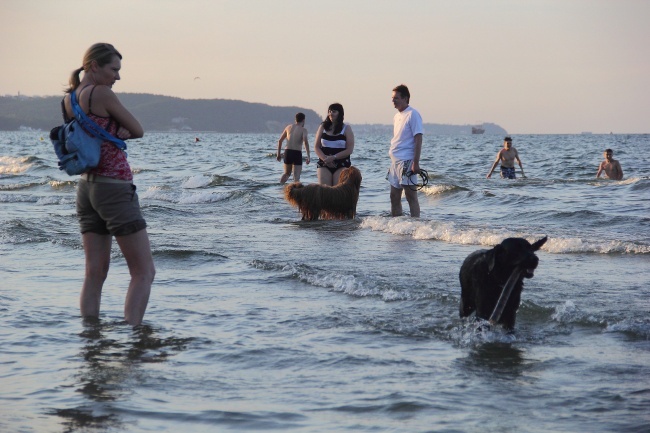 Psia plaża w Sopocie 