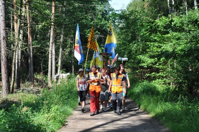 Przyroda na szlaku