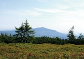 Widok z Pilska (1557 m n.p.m.)  na Babią Górę (1725 m n.p.m.)