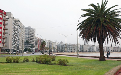 Piękne wybrzeże z plażami i domami wczasowymi jest chlubą Montevideo. Cudzoziemscy turyści, którzy cały urlop spędzają na plaży, nie dostrzegają rzeczywistych problemów Urugwaju