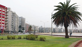 Piękne wybrzeże z plażami i domami wczasowymi jest chlubą Montevideo. Cudzoziemscy turyści, którzy cały urlop spędzają na plaży, nie dostrzegają rzeczywistych problemów Urugwaju