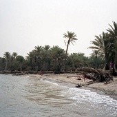MSZ radzi nie podróżować do Egiptu