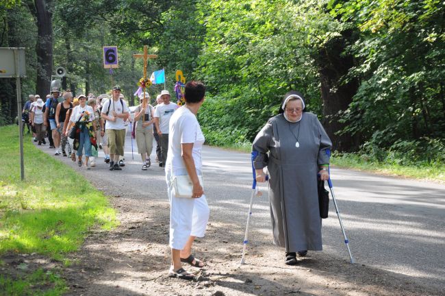 Strumień nyski w Korfantowie