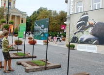Wystawa pokazuje piękno dzikiej polskiej przyrody