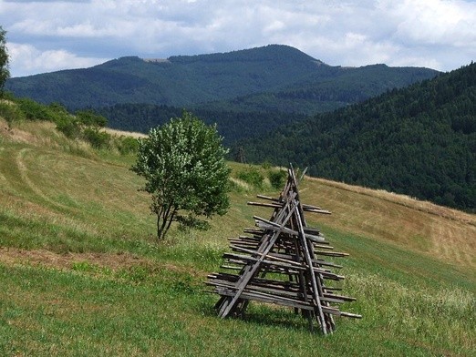 Piękna, choć garbata