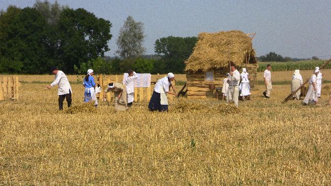 Bitwa pod Sarnową Górą 