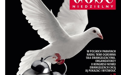 GN 35/2013