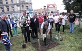 Marsz szlakiem Sobieskiego - Mysłowice