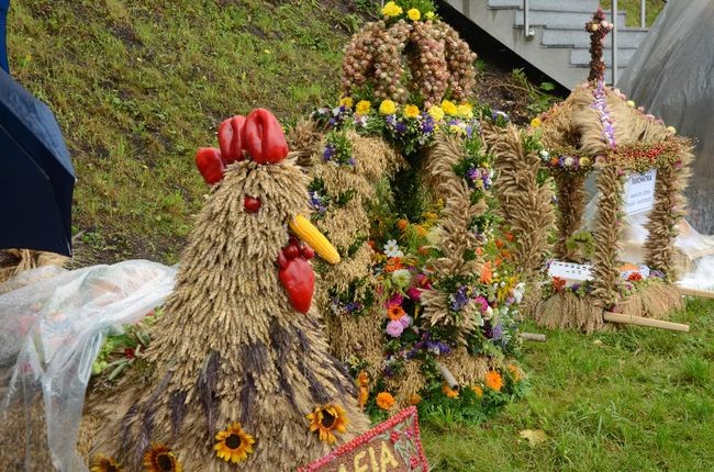 Uroczystości w Wąwolnicy