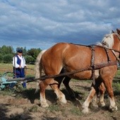 I po wykopkach....