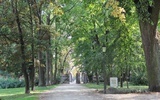 Park krajobrazowy w Radziejowicach