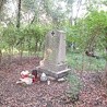 Obelisk upamiętniający zamordowanych powstańców odnaleziono przypadkiem  przed dwoma laty 