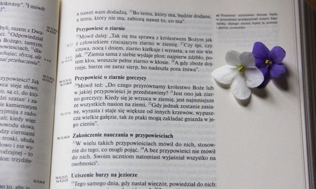 W Biblii można doliczyć się ponad 120 nazw roślin