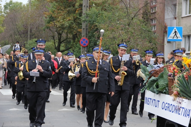 Skierniewicka Parada 2013