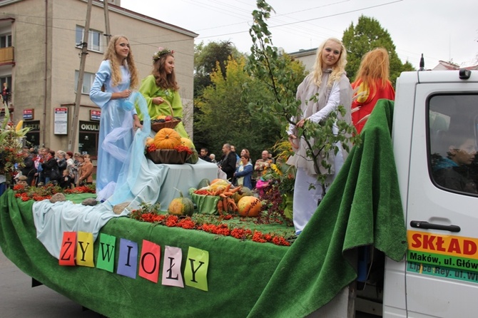 Skierniewicka Parada 2013