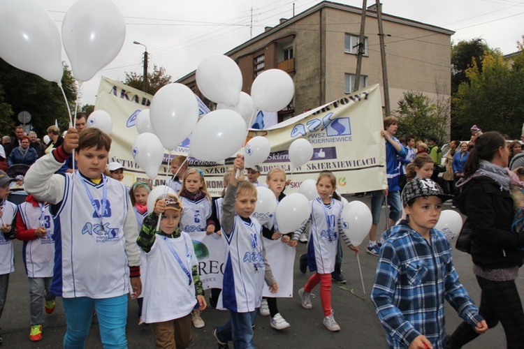 Skierniewicka Parada 2013