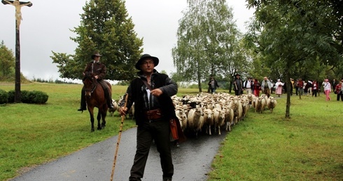 Piotr Kohut przeprowadził stado owiec i przeszedł przez Karpaty jak kiedyś Wołosi