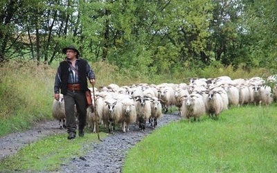 Finał Redyku Karpackiego w Rožnově pod Radhoštěm