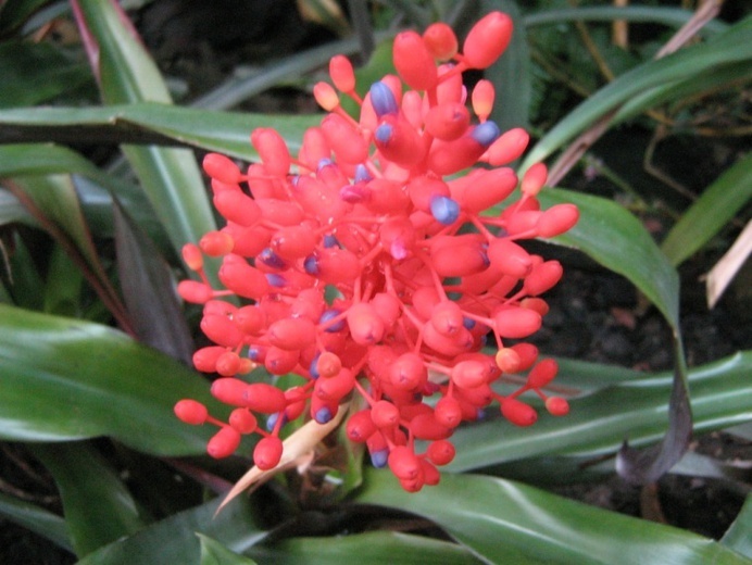 Zdjęcie nadesłała Aneta Nowak z Torunia