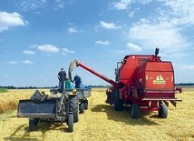 Nasze gospodarstwa rolne są niewielkie, większości rolników nie stać, aby przetrzymywać zbiory i czekać na lepszą cenę skupu – przyznają pracownicy ośrodków doradztwa rolniczego